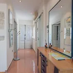 Seagull פולה